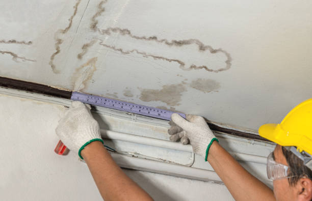 Reliable Mold Remediation contractor in Brookfield, MA by Local Water Damage Repair